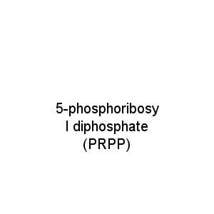 5-phosphoribosyl diphosphate (PRPP)
